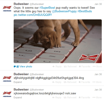 Budweiser-SuperBowl-Drunk-Puppy-Tweets