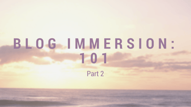 blog_immersion_101_2