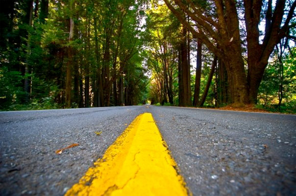 road-trip-redwoods.jpg